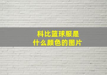 科比篮球服是什么颜色的图片