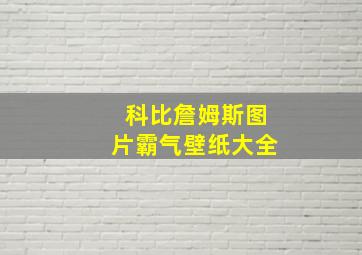 科比詹姆斯图片霸气壁纸大全