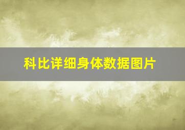 科比详细身体数据图片