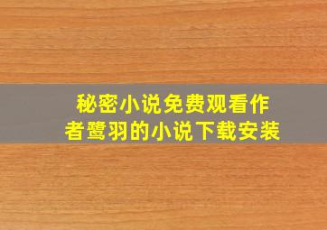 秘密小说免费观看作者鹭羽的小说下载安装