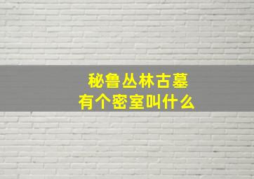 秘鲁丛林古墓有个密室叫什么