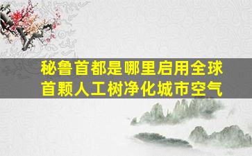 秘鲁首都是哪里启用全球首颗人工树净化城市空气