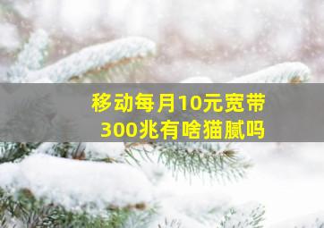 移动每月10元宽带300兆有啥猫腻吗