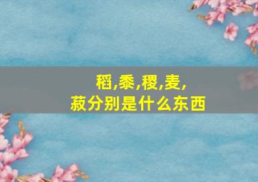 稻,黍,稷,麦,菽分别是什么东西