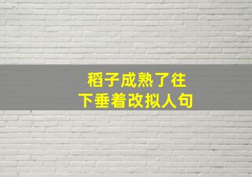 稻子成熟了往下垂着改拟人句