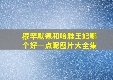 穆罕默德和哈雅王妃哪个好一点呢图片大全集