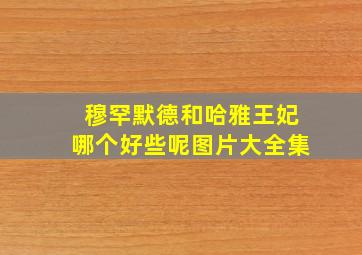 穆罕默德和哈雅王妃哪个好些呢图片大全集