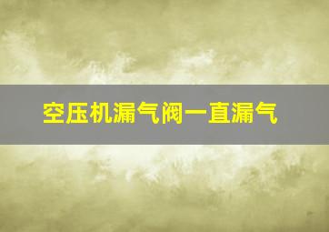 空压机漏气阀一直漏气