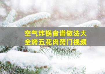 空气炸锅食谱做法大全烤五花肉窍门视频