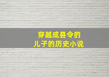 穿越成县令的儿子的历史小说