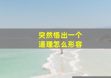 突然悟出一个道理怎么形容