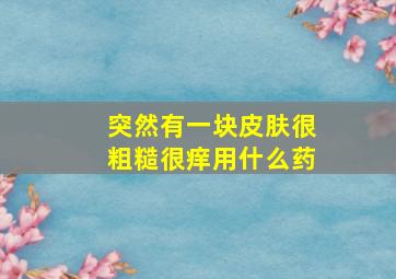 突然有一块皮肤很粗糙很痒用什么药