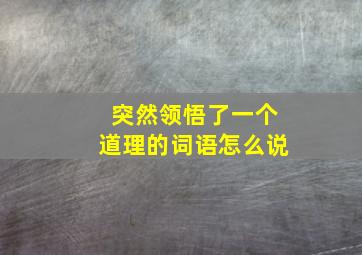 突然领悟了一个道理的词语怎么说