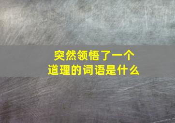 突然领悟了一个道理的词语是什么