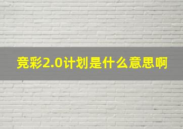 竞彩2.0计划是什么意思啊