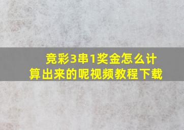 竞彩3串1奖金怎么计算出来的呢视频教程下载