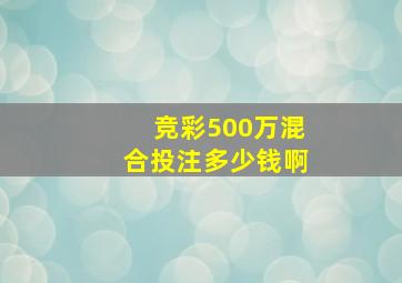 竞彩500万混合投注多少钱啊