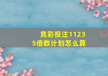 竞彩投注11235倍数计划怎么算