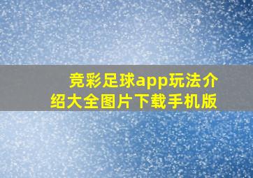 竞彩足球app玩法介绍大全图片下载手机版