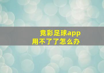 竞彩足球app用不了了怎么办