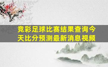 竞彩足球比赛结果查询今天比分预测最新消息视频