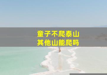 童子不爬泰山其他山能爬吗