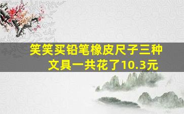 笑笑买铅笔橡皮尺子三种文具一共花了10.3元