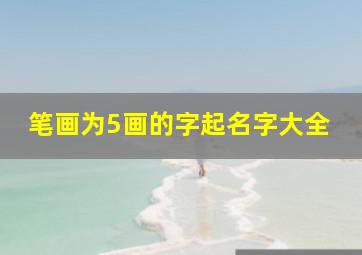 笔画为5画的字起名字大全