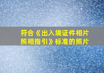 符合《出入境证件相片照相指引》标准的照片