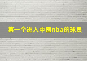 第一个进入中国nba的球员