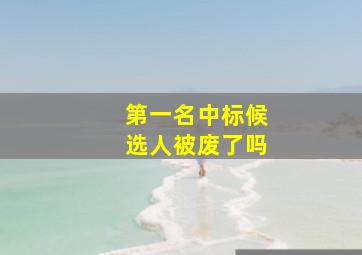 第一名中标候选人被废了吗