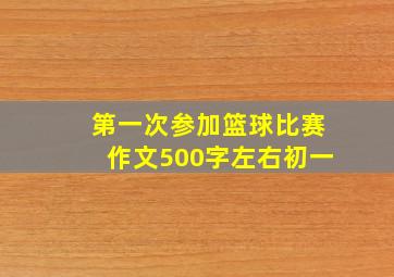 第一次参加篮球比赛作文500字左右初一