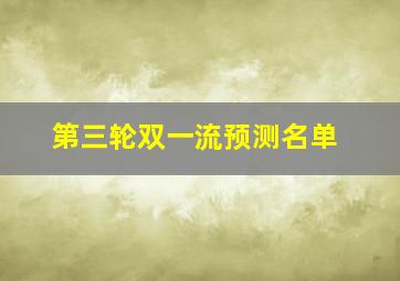 第三轮双一流预测名单