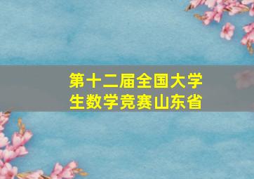 第十二届全国大学生数学竞赛山东省