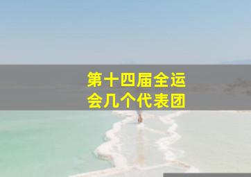 第十四届全运会几个代表团