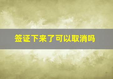 签证下来了可以取消吗