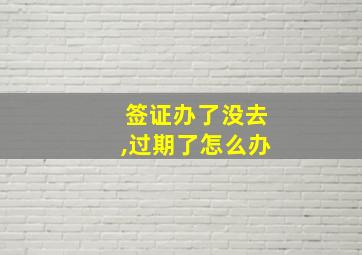 签证办了没去,过期了怎么办