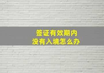 签证有效期内没有入境怎么办