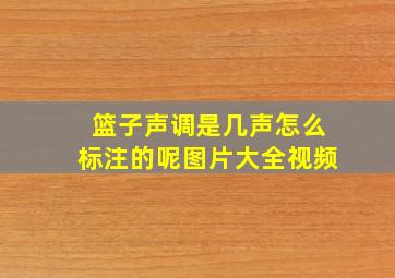 篮子声调是几声怎么标注的呢图片大全视频