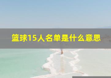 篮球15人名单是什么意思