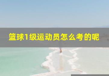 篮球1级运动员怎么考的呢