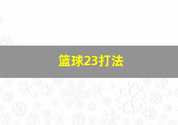 篮球23打法