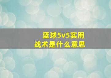 篮球5v5实用战术是什么意思