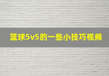 篮球5v5的一些小技巧视频