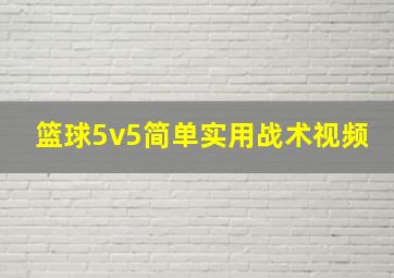 篮球5v5简单实用战术视频