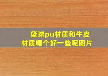 篮球pu材质和牛皮材质哪个好一些呢图片