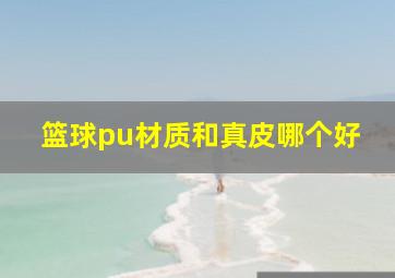 篮球pu材质和真皮哪个好