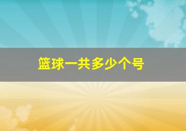 篮球一共多少个号