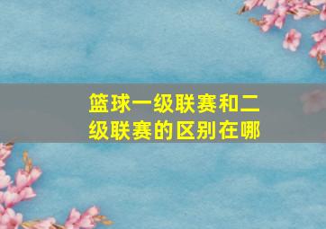 篮球一级联赛和二级联赛的区别在哪