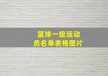 篮球一级运动员名单表格图片